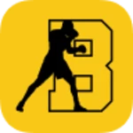 Logo of Brooklyn Boxing android Application 